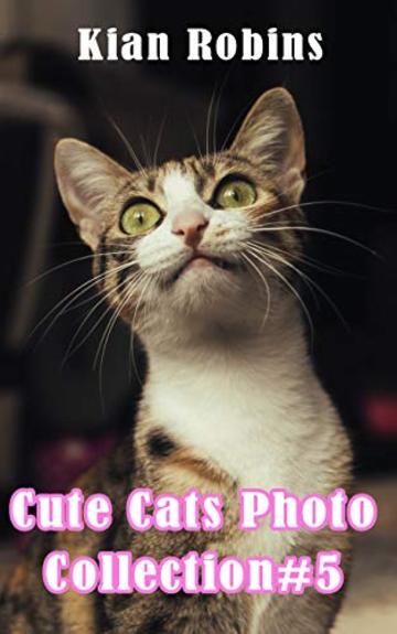 Cute Cats Photos Collection#5